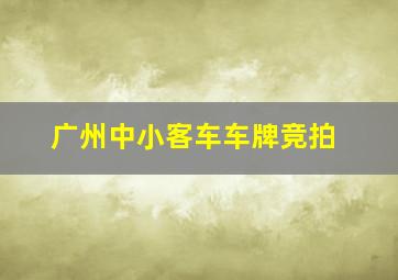 广州中小客车车牌竞拍