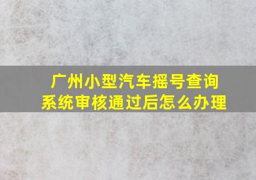 广州小型汽车摇号查询系统审核通过后怎么办理