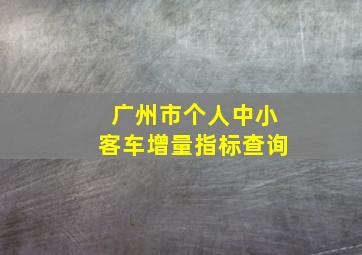 广州市个人中小客车增量指标查询