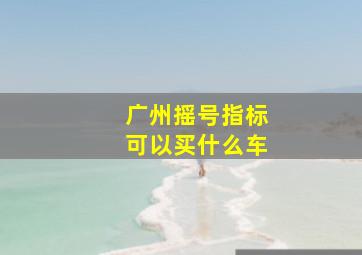 广州摇号指标可以买什么车