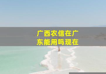 广西农信在广东能用吗现在