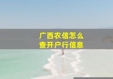 广西农信怎么查开户行信息