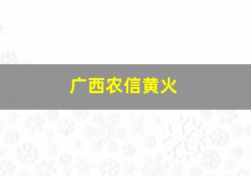 广西农信黄火