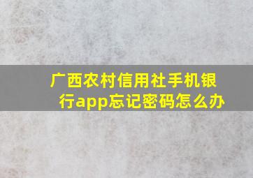 广西农村信用社手机银行app忘记密码怎么办