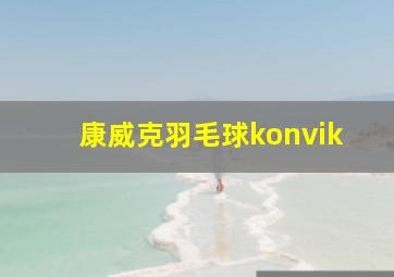 康威克羽毛球konvik