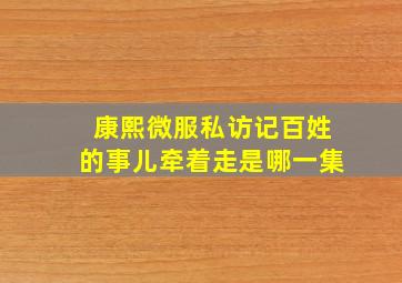 康熙微服私访记百姓的事儿牵着走是哪一集