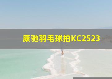 康驰羽毛球拍KC2523