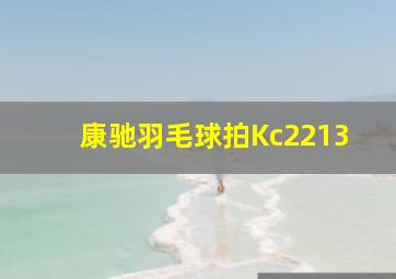 康驰羽毛球拍Kc2213