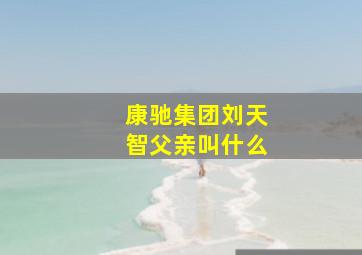 康驰集团刘天智父亲叫什么