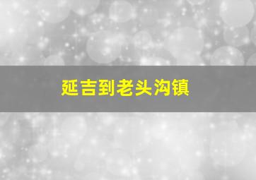 延吉到老头沟镇