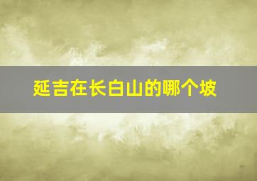 延吉在长白山的哪个坡