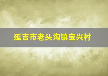 延吉市老头沟镇宝兴村