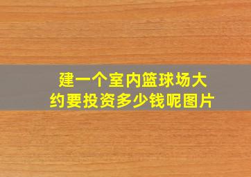 建一个室内篮球场大约要投资多少钱呢图片