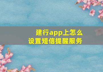 建行app上怎么设置短信提醒服务