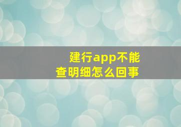 建行app不能查明细怎么回事