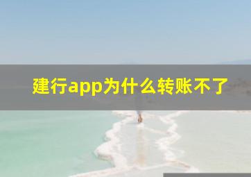 建行app为什么转账不了