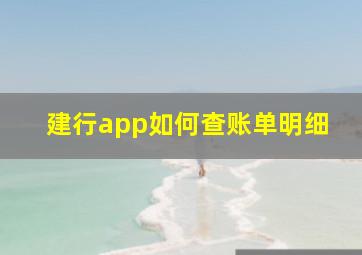 建行app如何查账单明细