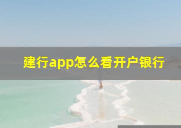 建行app怎么看开户银行