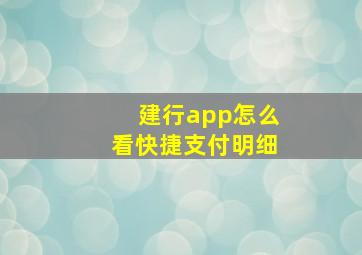 建行app怎么看快捷支付明细