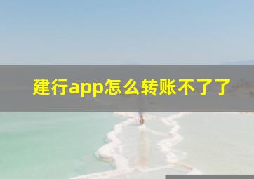 建行app怎么转账不了了