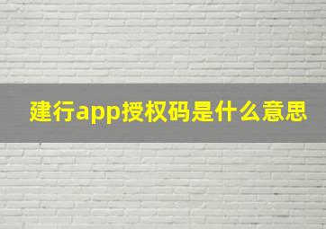 建行app授权码是什么意思