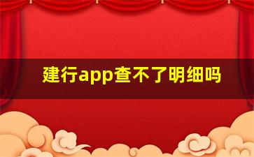 建行app查不了明细吗