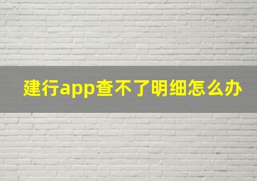 建行app查不了明细怎么办