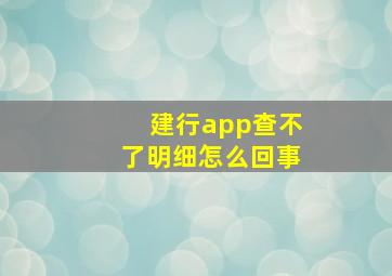 建行app查不了明细怎么回事