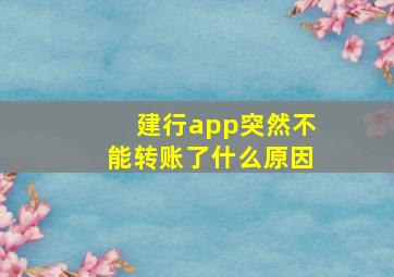 建行app突然不能转账了什么原因