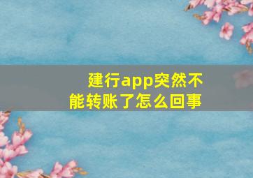 建行app突然不能转账了怎么回事