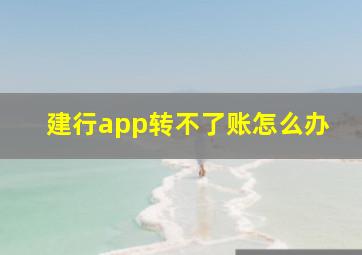 建行app转不了账怎么办