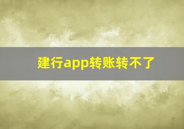 建行app转账转不了