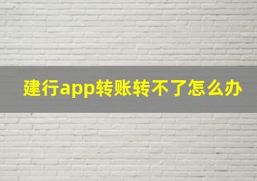 建行app转账转不了怎么办