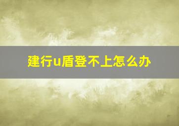 建行u盾登不上怎么办