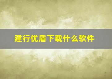 建行优盾下载什么软件