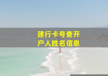 建行卡号查开户人姓名信息