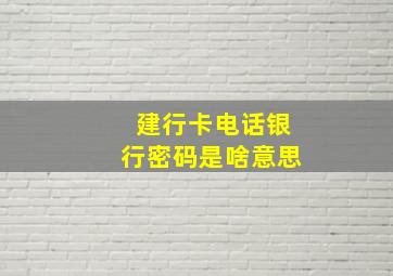 建行卡电话银行密码是啥意思