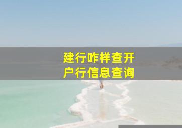 建行咋样查开户行信息查询