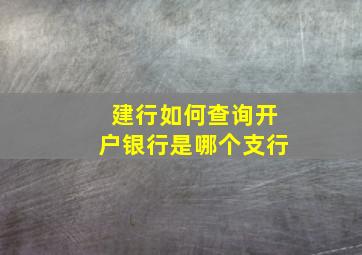 建行如何查询开户银行是哪个支行