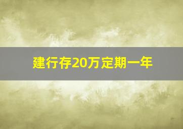 建行存20万定期一年