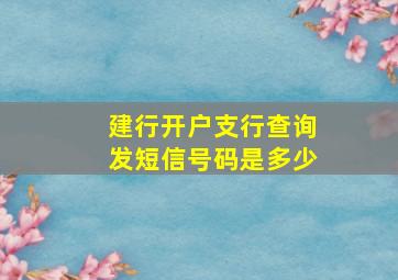 建行开户支行查询发短信号码是多少