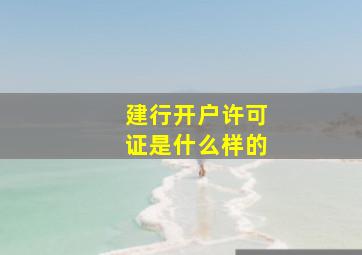 建行开户许可证是什么样的