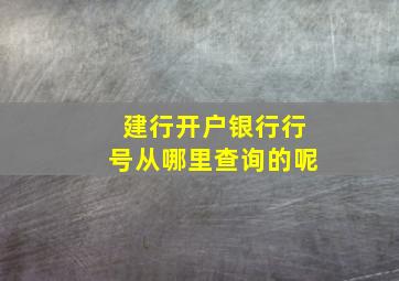 建行开户银行行号从哪里查询的呢