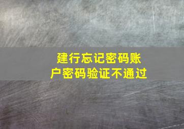 建行忘记密码账户密码验证不通过