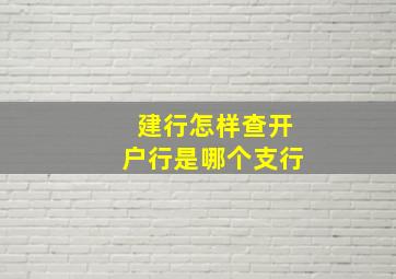 建行怎样查开户行是哪个支行