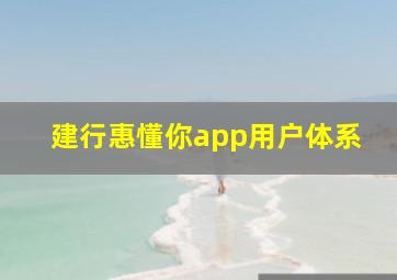 建行惠懂你app用户体系