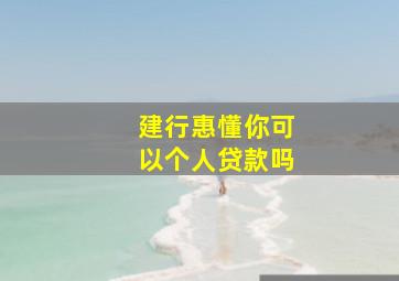 建行惠懂你可以个人贷款吗