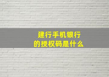 建行手机银行的授权码是什么