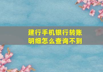 建行手机银行转账明细怎么查询不到