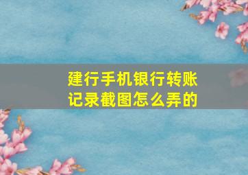 建行手机银行转账记录截图怎么弄的